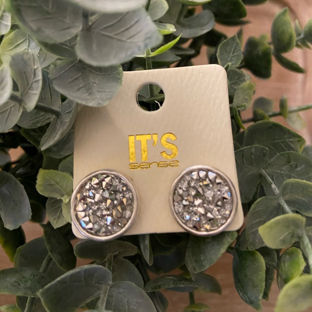 Silver Glitter Stone Earrings
